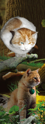 查看更多关于“3D书签厂家制作”的内容 >>|ru