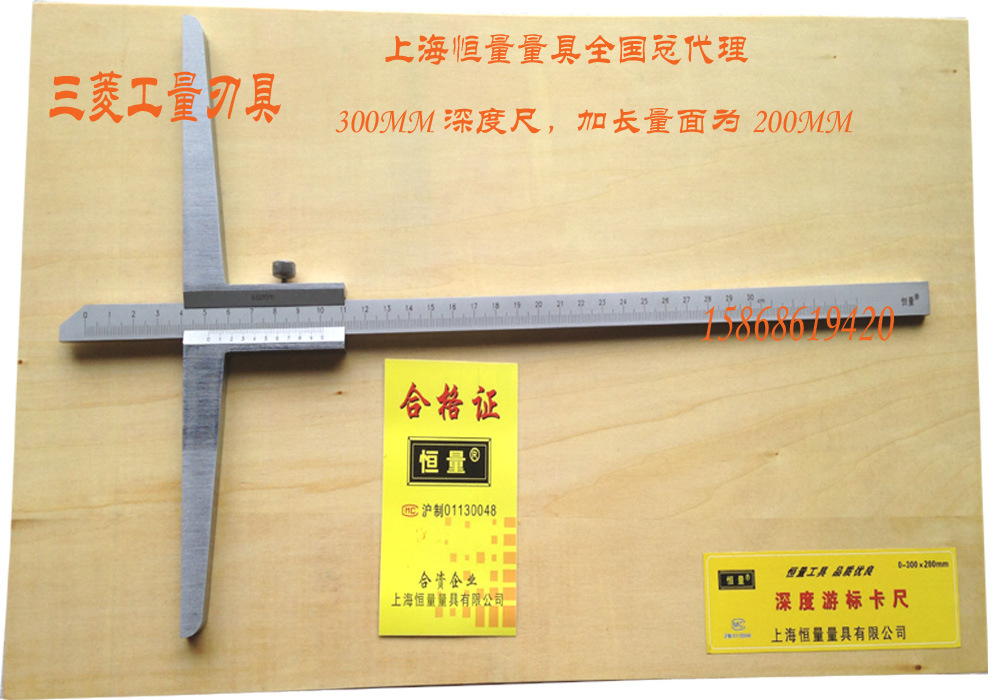 HL深度尺300 200桥长
