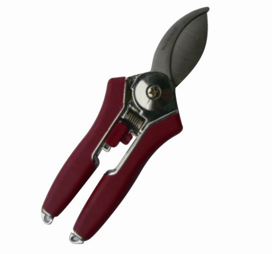 厂家供应 不锈钢园艺剪修枝剪刀 花枝剪 园林剪 锌合金摘果剪