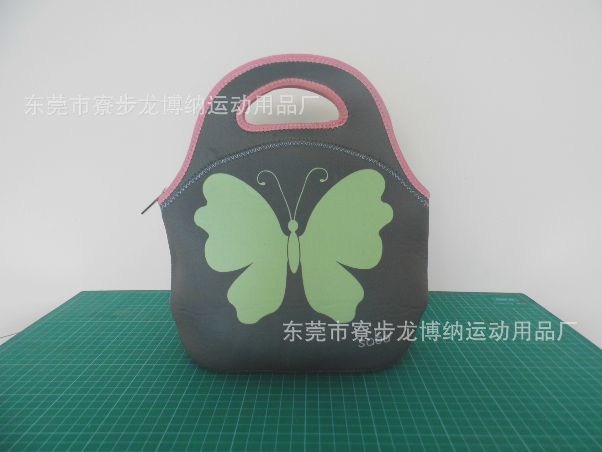 DSCI0007