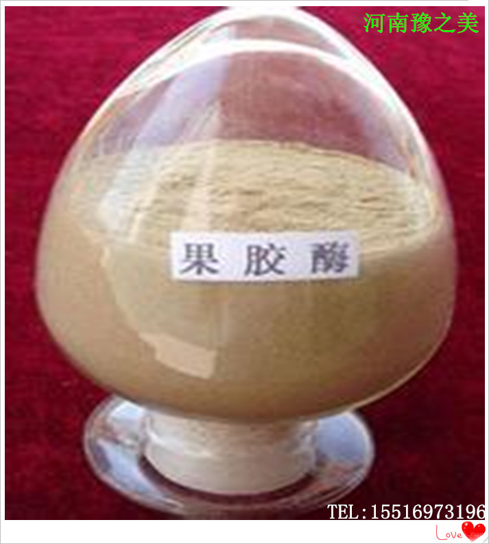 厂家供应 食用果胶酶 食品级