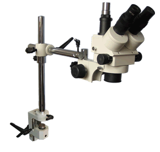 XTZ-E21连续变倍体视显微镜 |ms