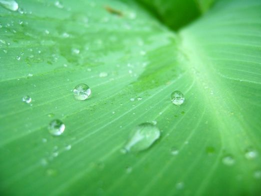 供应改性疏水乳液S8861