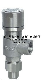 钢铸钢焊接安全阀A21H—16C 外螺纹安全阀