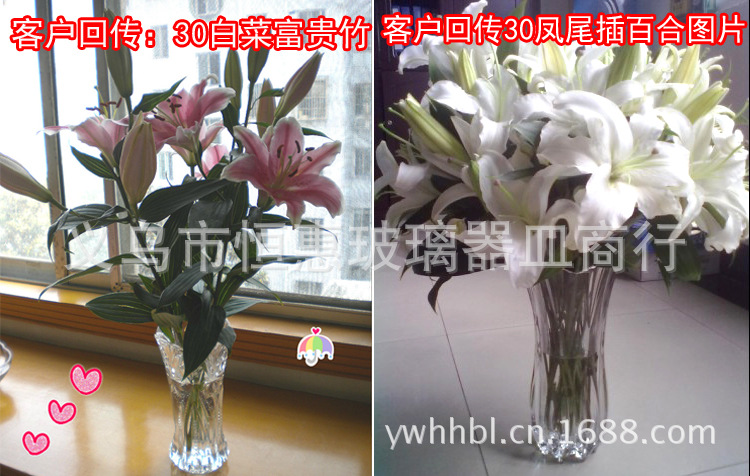 30白菜凤尾百合富贵