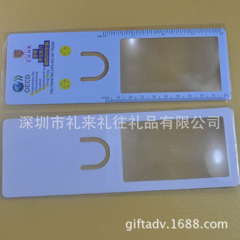 放大镜书签3-30 (10)