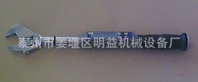 数显式扭矩扳手，STB系列数显式扭力扳手，活动头数显扳手