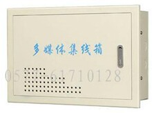 多媒體信息箱 弱電布線箱 集線箱 空箱250*300*100體0.5門1.0