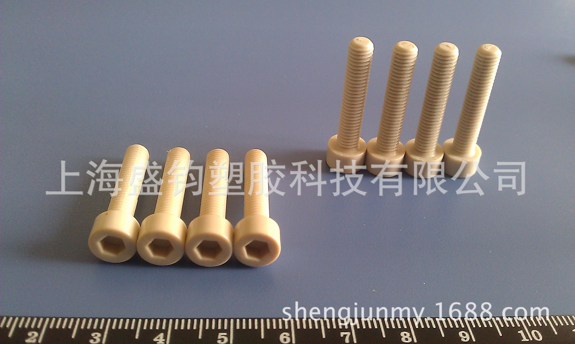 PPS内六角螺丝（M5x25）