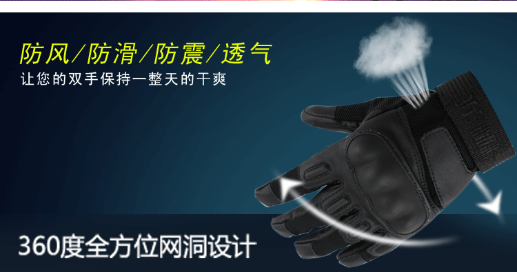 010全指宝贝描述_02