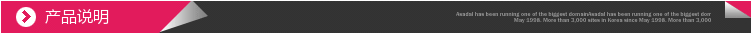 产品说明 模板1