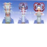 脑干内部结构及传导医学模型