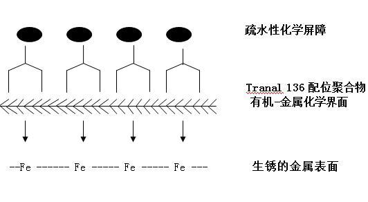 供应水性自除锈乳液T 136