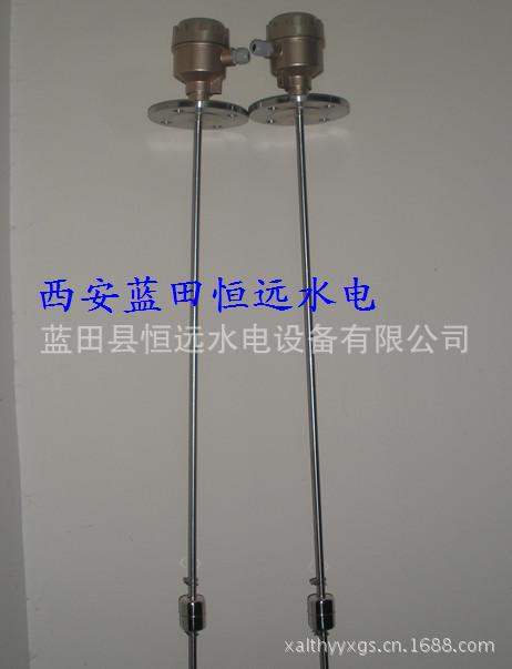 可调整WX型液位信号器WX-3/1000A液位计WX-2/WX-4资料图