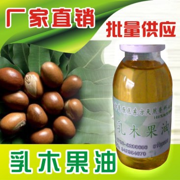 东方天然香料油提炼厂供应乳木果油 厂家供应 量大从优
