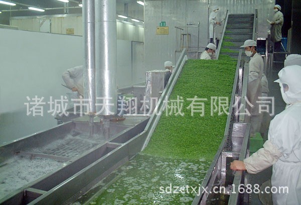 蔬菜蒸煮漂烫流水线设备  厂家供应定制生产 质量可靠售后保障