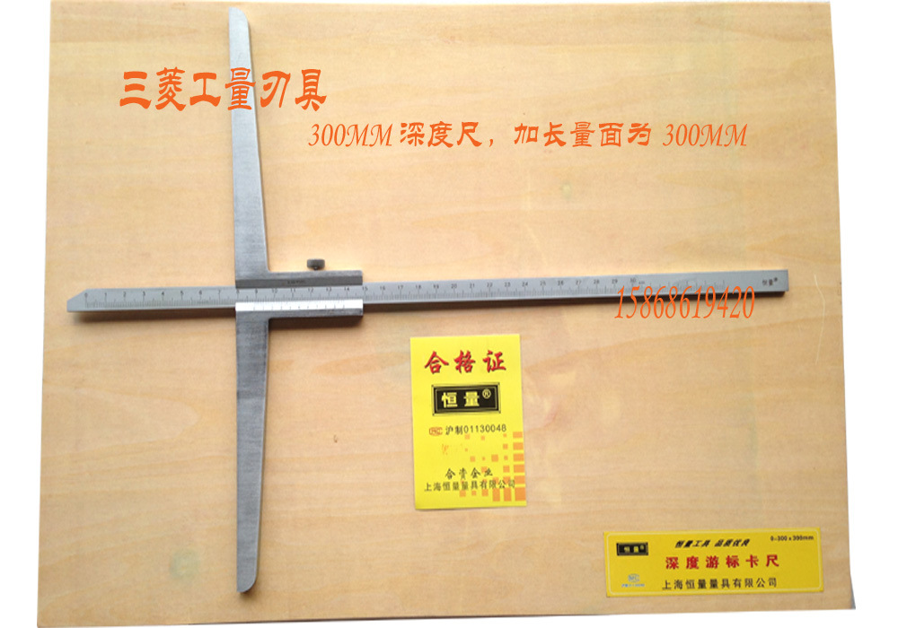 HL深度尺300 300桥长