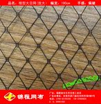 ��������ֱ����ɴ���۲���Ŀ�������� ����