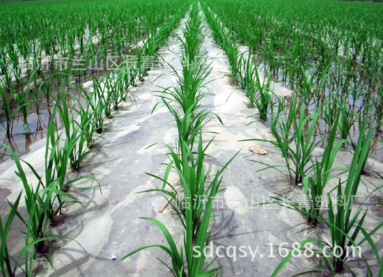 Los fabricantes suministran película especial con buena resistencia, película plástica, película PE, película agrícola