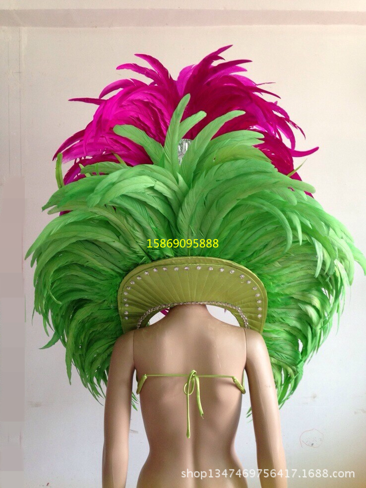 舞臺表演羽毛裝飾