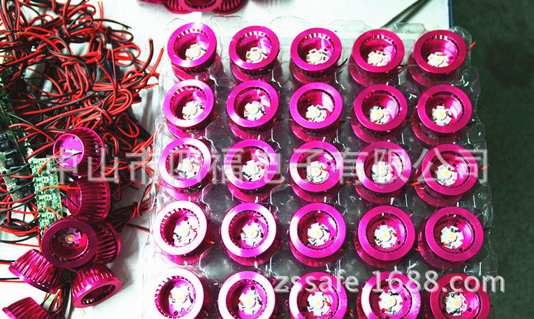 魚眼燈 大圖 紅殼白光1