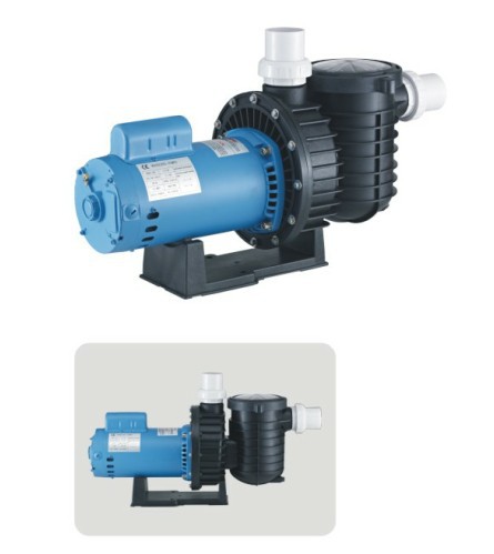 威浪仕A1SB010泳池循环水泵 泳池过滤水泵 1HP/220V