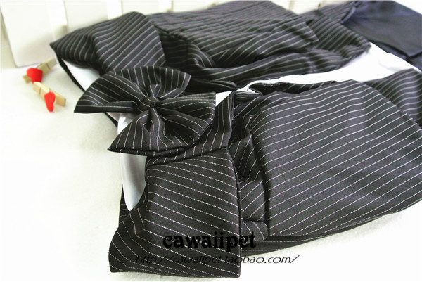 Suit 20