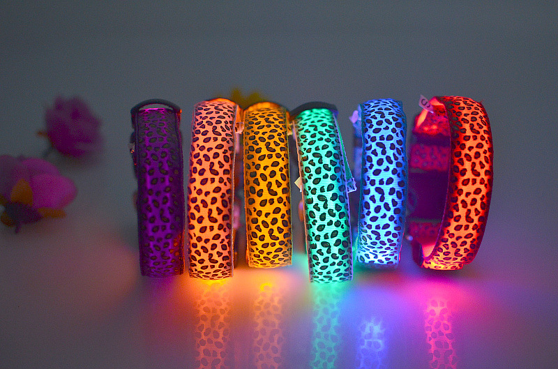 light up dog collar