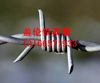 厂家生产优质刺绳铁刺网铁蒺藜带刺铁丝镀锌钢丝绳铁蒺藜大量批发|ms