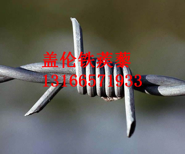 厂家生产优质刺绳铁刺网铁蒺藜带刺铁丝镀锌钢丝绳铁蒺藜大量批发|ms