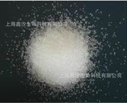 上海鑫汐供应正品食品级 甘氨酸  质优价廉 证件齐全 欢迎订购！