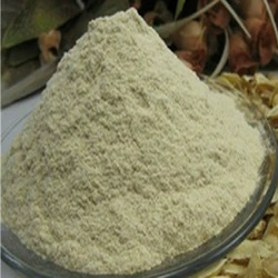 Chinese medicinal material Astragalus, Gansu Astragalus, Gansu Inner Mongolian astragalus wholesale astragalus powder