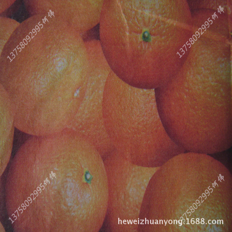 13758092995@163.com.印花布