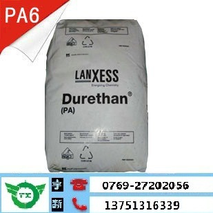 PA6德国巴斯夫 21BS