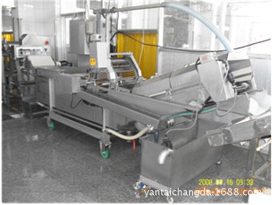 304材质果块异物去杂机（如葡萄、苹果、桃、梨丁等）