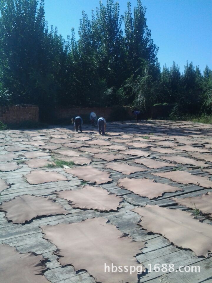 QQ图片20140903180735
