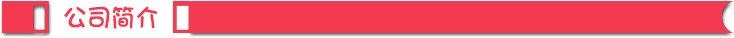 公司簡介