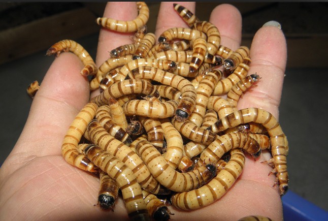 74abf5527883db143651a47681b59e