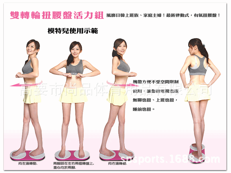 雙輪扭腰盤
