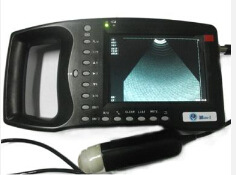 供应母猪测孕b超 羊测孕B超 母猪测孕仪测试仪 羊测孕仪