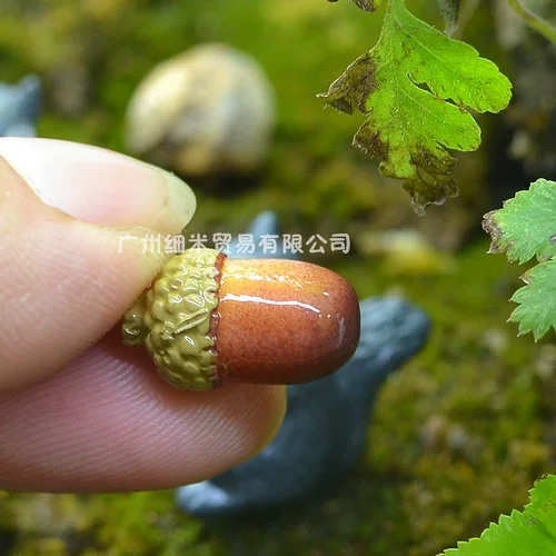 [Totoro ACORN сосновая шишка] суккулентный материал DIY микро-ландшафтное Украшение Моделирование садовый мох набор