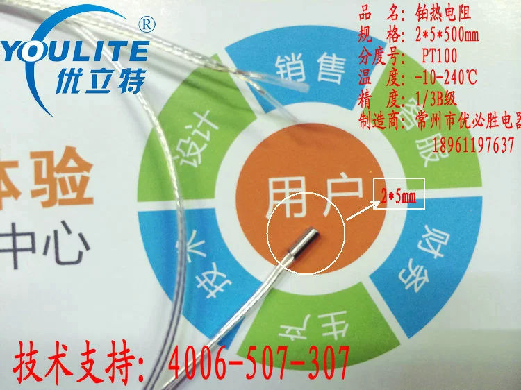 Бесплатная доставка крошечная платиновая термостойкость PT100 2*5*500 мм хорошее качество pt1000 платиновая термопара сопротивления