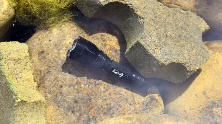 T2cetcXK4aXXXXXXXX-749197763.j