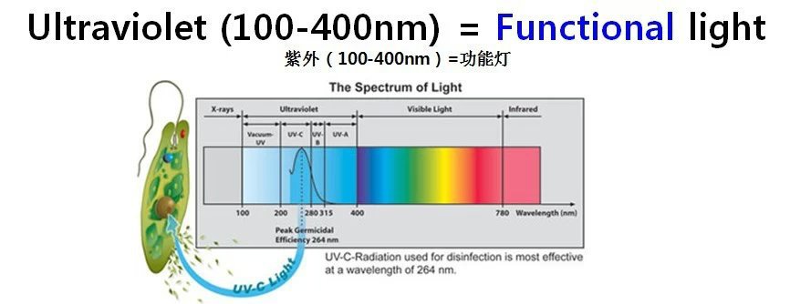 为什么选择uvled怎样为你的产品选择匹配波长的led 阿里巴巴 为什么选择uvled怎样为你的产品选择匹配波长的led 阿里巴巴