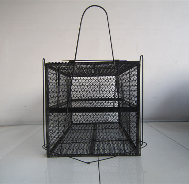 T2D1xFXARXXXXXXXXX_!!426139269