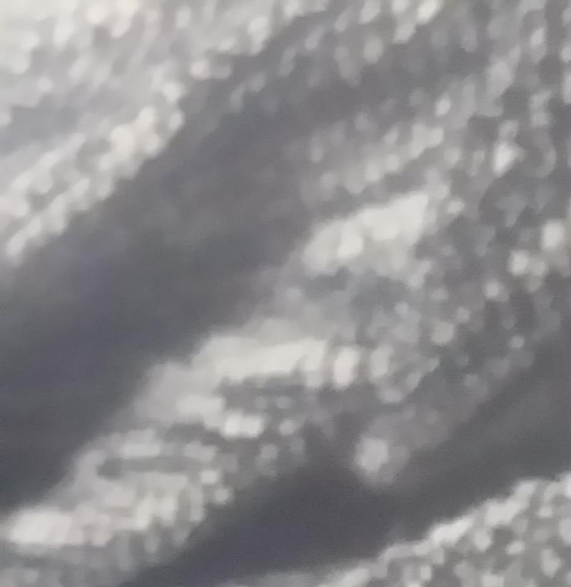 供应各种规格的针织竹节纱汗布 高档竹节面料 时装短缩丝面料