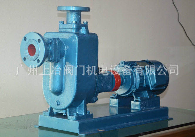 ZW型自吸式排污泵/自吸污水污泥泵/污水泥浆泵/自动搅匀排污泵