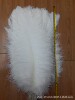 White decorations, clothing, dress, 65-70cm, feather stuffing