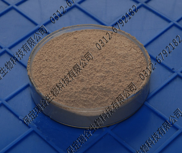 热销水溶枯草芽孢杆菌地衣芽孢杆菌复合芽孢杆菌1000亿菌粉