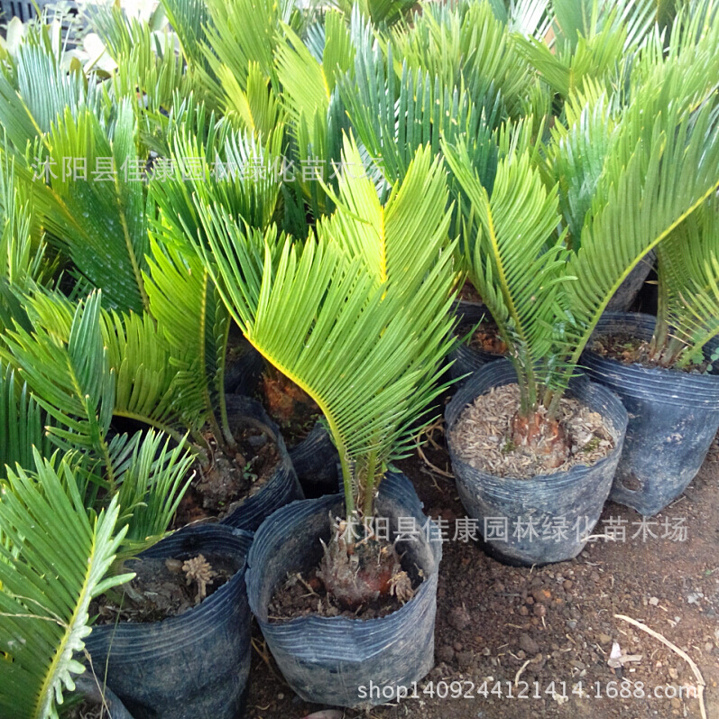 ����3_����